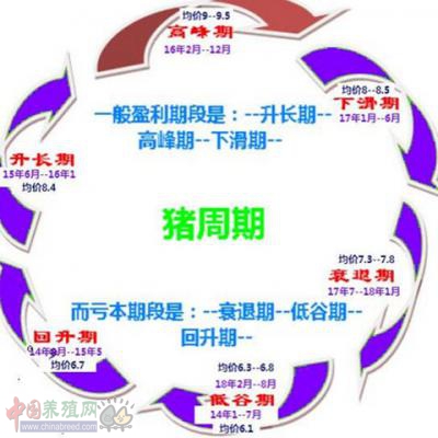 zhu11.jpg zhu11.jpg
